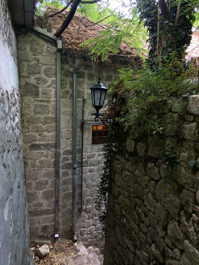 This media file captures a narrow, stone-walled alleyway or passage in Kotor, Montenegro, seen from a low, upward-looking perspective. The scene is devoid of people or discernible activity, presenting a static, historical atmosphere.

The primary subjects are the sturdy, grey stone walls constructed from irregularly shaped blocks, which dominate both sides of the passage. Abundant green foliage, including ivy and leafy tree branches, cascades over the walls and overhead, creating a canopy that filters the natural light, making the alley appear dim despite likely being daytime. A thick tree trunk is visible on the left, partially covered by foliage.

Notable details include an old-fashioned black street lamp with ornate metalwork, mounted on the left wall. Below it, two grey pipes, possibly drainpipes or utility conduits, run horizontally along the stone wall, adorned with various small stickers and faint graffiti. One sticker on the lower pipe partially shows "ZON" and "HO". A small, recessed window with a metal grate emits a warm orange glow, suggesting an interior light source. The ground surface is rough and textured, appearing to be a mix of worn stone and concrete, with scattered dry leaves and debris near the right wall. The overall impression is one of an ancient, secluded passageway, characteristic of old European towns like Kotor.