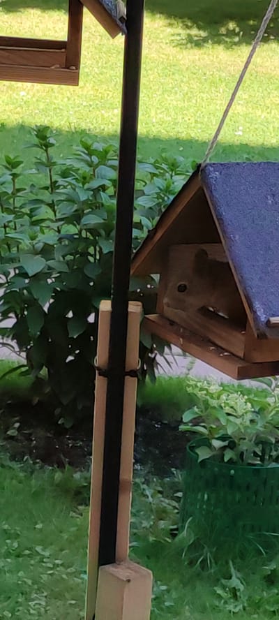 In the city of Rosinka, Russia, a wooden bird feeder stands on a metal pole. A small, furry creature, likely a squirrel, is visible peeking out from an opening in the bird feeder. The background consists of green foliage and grass, suggesting an outdoor setting. The bird feeder is suspended by a rope from above.