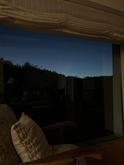 The image displays an interior perspective looking outward through a large window at twilight in Oliveira de Frades, Portugal. At the top, an off-white Roman blind, horizontally pleated and featuring faint vertical stripes, is partially raised. The bottom left foreground shows the back and a wooden armrest of an upholstered armchair, adorned with a light-colored, patterned fabric. A decorative cushion with a textured, scale-like pattern rests on the armchair.

Through the window, the exterior environment is visible. The sky transitions from a deep dark blue at the zenith to a lighter, paler blue near the horizon, indicating dusk or pre-dawn conditions. A continuous, undulating silhouette of numerous trees, consistent with a dense wooded area, forms a dark line against the lighter sky across the mid-ground. The lower portion of the exterior landscape is entirely dark, devoid of discernible detail.

The window pane also reflects elements from the dimly lit interior room. Visible reflections include a lamp with a light-colored shade on the left side, and indistinct dark shapes of what appear to be furniture or room architecture. A single, faint, bright light source is discernible as a small dot within the darker reflected areas. No individuals are present in the scene.