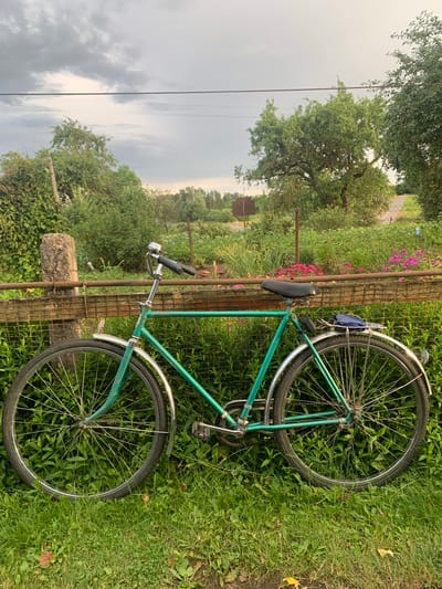 A vintage green bicycle is propped against a rustic wooden fence in a grassy, rural setting. The bicycle is facing left, with its front wheel slightly turned. It has a bell on the handlebars, a black seat, and a rear rack with a folded blue item. The background consists of lush green foliage, flowering plants, and trees. In the distance, a dirt road can be seen. The sky is overcast with dramatic clouds. The scene appears to be a quiet, natural area, possibly a garden or yard in the village of Vidzy, Vidzy rural council, Belarus. There are no people visible in the image.