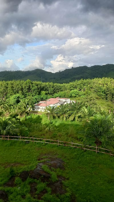 The image presents a lush landscape dominated by greenery. In the background, a mountain range rises, its slopes densely covered with trees. A building complex with a red tile roof is nestled among the trees. A rusty metal structure stretches diagonally across the right side of the image, possibly a support for something. The foreground consists of intensely green vegetation. A cloudy sky occupies the left side of the frame. The scene is in Ban Tak Daet, Thailand.