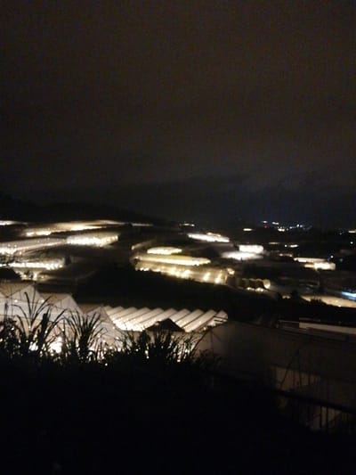 The media file presents a wide, elevated view of an extensive agricultural landscape at night, most likely in Lạc Dương, Vietnam. The dominant subjects are numerous greenhouses or cultivation structures, stretching across the terrain and illuminated from within.
The scene is enveloped in darkness, indicating nighttime, with a dark and slightly hazy sky covering the upper portion of the image. The multitude of greenhouses glows brightly with artificial light, creating striking patterns of illumination against the dark backdrop. These structures vary in shape, some appearing as long, parallel rows with arched or gabled roofs, while others form larger, more amorphous clusters of light. The glowing interiors suggest active cultivation or ongoing operations.
In the immediate foreground, dark silhouettes of dense vegetation, possibly tall grass, bushes, or plants, are visible, partially obscuring the view of the closest structures. These dark forms contrast sharply with the bright lights of the greenhouses beyond. A faint outline of what might be a railing or fence can also be discerned in the lower right foreground. The overall impression is one of large-scale, industrious farming activity continuing after sunset, characteristic of regions known for greenhouse agriculture like Lạc Dương. No people or visible text are present in the image.