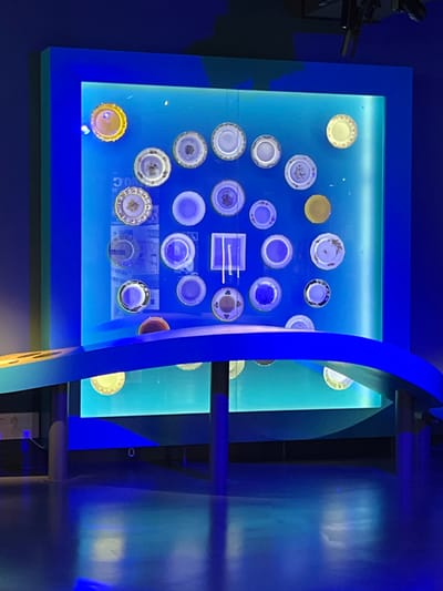The scene depicts an illuminated exhibition display located within the Cité Internationale de la Gastronomie et du Vin (CIGV) in Dijon, France. A large, rectangular display case dominates the center, framed in deep blue. Its interior features a back panel emitting a gradient of cyan to light blue illumination. Mounted on this panel are approximately 25 to 30 diverse plates, predominantly circular, varying in size, color, and decorative patterns. Most plates appear blue or bluish-white due to the intense blue lighting, though several retain warmer tones, notably a gold-colored plate at the top-left and another at the top-right. Faint text, including the numeral "500," is partially visible behind some plates. In the foreground, a dark blue, curved, and undulating counter is supported by multiple dark vertical posts. The floor is dark and reflective, mirroring the blue light from the display. The immediate environment is dimly lit, with the display providing the primary light source. No individuals are present in the image.