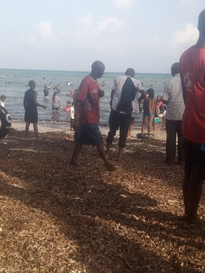 The scene depicts a crowded beach at Shanzu ward, Kenya, under a clear sky with scattered white clouds. The foreground is covered extensively with a dense layer of dry, light-brown vegetation or leaves. Shadows from individuals stretch across this debris.
In the midground, the beach transitions into shallow ocean water with small waves. Multiple individuals are present at or near the water's edge. From left to right: a person in a black dress/tunic stands in the shallow water, facing left; a person in a red t-shirt and blue shorts walks barefoot across the debris towards the water; a person in a patterned white and black shirt with a dark item draped over their shoulder stands facing the water; and a person in a light plaid shirt stands facing the water. On the far right, a partial view of a person in a red t-shirt is visible. At the water's edge, a woman with braids or dreadlocks, wearing a blue bikini top and shorts, stands facing away from the camera. Several other adults and children, including a child in pink, are wading in the shallow water. A dark, possibly rubber, object resembling a tire or buoy lies on the sand near the water.
The background shows a vast expanse of the ocean filled with numerous people swimming, wading, and congregating. The distant horizon line is visible beneath a light blue sky.