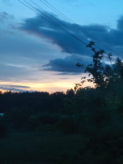 The image depicts a twilight landscape in the city of Парэчча, Belarus. The upper sky is a muted blue, transitioning to a lighter blue-grey towards the mid-horizon, with scattered, indistinct darker cloud formations. Five parallel electrical power lines span the upper portion of the frame, extending diagonally from the upper left to the upper right. A distinct horizontal band of soft orange and yellow light is visible along the horizon, indicative of a sunset or sunrise. Below this light band, a dense, dark silhouette of a treeline extends across the entire width of the image. In the midground and foreground, dense, dark green to black foliage, including trees and bushes, dominates the lower half of the frame, largely obscuring any specific details due to the low light conditions. A prominent leafy branch from a tree, with distinct dark green leaves, extends into the frame from the right side, arching towards the center and silhouetted against the lighter sky. No people, animals, or specific actions are discernible. The environment is rural or semi-rural, characterized by natural vegetation and overhead electrical infrastructure.