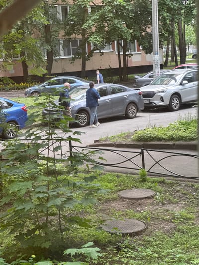 The image depicts an urban street scene in Sinyavino, Russia, likely on a cloudy day. A multi-story apartment building with a light-colored facade and numerous windows forms the backdrop. Trees with green foliage are interspersed between the building and the street. Several cars are parked or driving on the asphalt road.

In the foreground, a young maple tree with broad, green leaves is prominent. A black metal fence runs horizontally across the lower part of the frame. Beyond the fence, two manhole covers are visible on a patch of overgrown ground with grass and small plants.

On the street, two individuals are interacting near a grey sedan. An older man with a beard and a blue jacket is standing to the left, facing the car. A person wearing a blue denim jacket and jeans is standing to the right of the sedan, also facing it. Another grey sedan is parked to the right of the interaction, and a silver SUV is visible further to the right. A blue sedan is parked on the left side of the frame. A red car is partially visible behind the silver SUV. The ground around the cars is asphalt, with a raised curb and grassy areas.