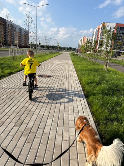 A boy wearing a yellow jersey with the name "RONALDO" and the number "7" is riding a bicycle on a paved pathway. He is on the left side of the image, facing away from the camera. A dog with long, light-colored fur and brown markings is walking on the right side of the pathway, also facing away from the camera, and is on a leash held by an unseen person. The pathway is made of light-colored rectangular pavers.

To the left of the pathway is a strip of green grass, and beyond that are several modern, multi-story buildings. Some of these buildings appear to be under construction. To the right of the pathway is more green grass. The scene is outdoors on a sunny day, indicated by the bright light and the shadows cast by the boy and the dog. The sky is blue with scattered white clouds. Traffic lights and street lamps are visible in the distance. The overall setting appears to be a residential or developing urban area in Veliky Novgorod, Russia.