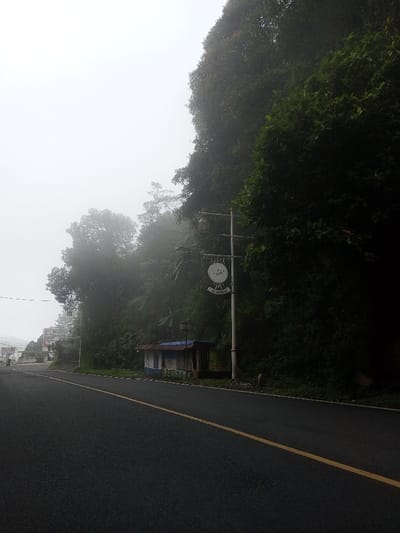 A road curves through a misty landscape. A yellow line marks the pavement's edge. Dense, dark green foliage rises on the right. A signpost with a circular sign is situated beside a small, weathered building with a blue roof. Other buildings are visible in the distance to the left, obscured by fog. The sky is overcast.