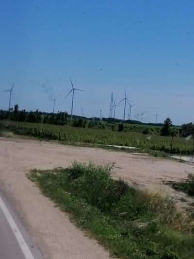 The image shows a landscape with numerous wind turbines silhouetted against a clear blue sky. The turbines are spread across a green, agricultural field dotted with trees. In the foreground, there is a dirt road curving to the left, with some patches of green grass and vegetation along its edge. The scene appears to be an open, rural area. The specific location within the city of Kavarna, Bulgaria is not identifiable from the visual information provided.