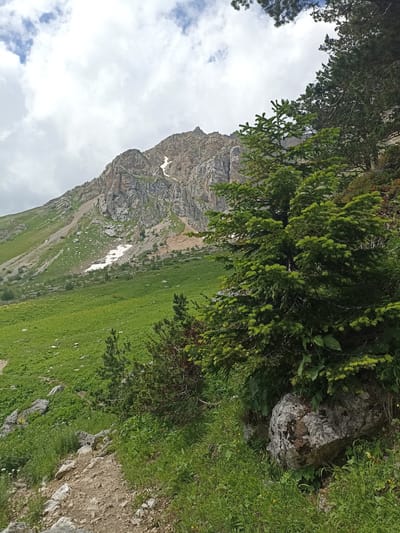 The image depicts a mountainous landscape with a cloudy sky. A dirt path winds through green grass and rocks in the foreground. Several trees, including pine trees, are visible on the right side of the image. A large, rocky mountain with patches of snow rises in the background. The scene is one of a natural, undeveloped environment.