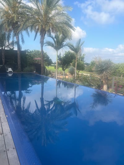 The image captures an outdoor scene in the city of Hof HaCarmel Regional Council, Israel, dominated by an infinity pool reflecting palm trees and a blue sky with scattered clouds. The pool's surface is a vibrant blue, with visible mosaic tiling along its edge. To the left of the pool, a wooden deck is partially visible.
In the background, several palm trees of varying heights are present, along with lush green vegetation and other tropical plants. Beyond the greenery, a glimpse of a golf course can be seen, indicated by manicured fairways and distant white structures. A metal fence borders some of the property.
There are no people visible in the image. The scene suggests a serene, resort-like environment. The lighting indicates it is daytime, with bright sunlight casting reflections on the water. The overall atmosphere is tranquil and summery.