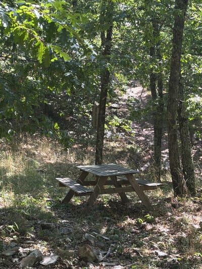 The image depicts a wooden picnic table situated in a sun-dappled forest clearing. The table is weathered and shows signs of outdoor use. It is surrounded by tall trees with lush green foliage, and the ground is covered in dry leaves, grass, and scattered rocks. A path or clearing is visible behind the picnic table, leading further into the wooded area. The scene suggests a natural, secluded outdoor setting, possibly a park or hiking trail.