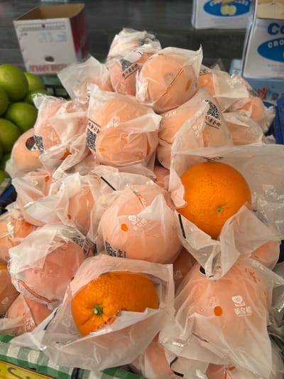 The image shows a close-up, top-down view of a large pile of oranges, many of which are individually wrapped in clear plastic bags. Some of the oranges are whole and have visible texture, while others appear softer and possibly juiced or pureed. The oranges are predominantly orange in color, with a few lighter, peachy-toned ones also present.
The background reveals glimpses of a market stall setting. To the left, there are boxes with text in what appears to be Chinese characters, some of which are partially obscured by the fruit. The text "COS" and "CRO" are visible on one of the boxes, along with branding that suggests apples ("FRESH APPLE"). Below the oranges, a cluster of green apples is visible. The overall lighting suggests an indoor or shaded environment.
Several of the plastic bags containing the oranges have text printed on them, including Chinese characters and what looks like branding. The phrase "黄金橙" (Huángjīn chéng), meaning "golden orange," appears repeatedly. Other text includes "爆汁" (bào zhī), meaning "bursting with juice," and partial English words like "JUICE" and "APPLE."
The image is an object-focused shot of produce for sale, likely in a market in Sukawati, Indonesia. There are no people visible, and the focus is entirely on the arrangement and packaging of the fruit. The visual suggests a commercial display of fresh produce.