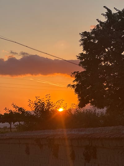 This is a vertical-oriented photograph taken at sunset in Blatets, Bulgaria. The scene depicts a warm, golden sky with a few wispy clouds, some of which are tinged with pink and orange hues. The sun is a bright, glowing orb partially obscured by the dark silhouette of tree branches and leaves on the right side of the frame. A thin, dark power line stretches diagonally across the sky from the bottom left towards the upper right, with a few crossbars visible. On the far right, a textured, brick-like structure is visible, also silhouetted against the sunset. The overall mood is peaceful and serene, characteristic of a sunset. The time of day is clearly evening, as indicated by the low position of the sun and the colors of the sky. There is no visible text in the image.