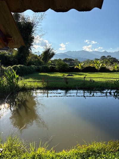 This image depicts a static outdoor scene in Pai, Thailand, observed from beneath a dark, undulating roof structure that frames the top. The foreground features dense green foliage bordering a placid body of water, likely a pond, with intense sunlight reflecting off its surface in the lower left. The water's surface largely mirrors the blue sky and surrounding vegetation. A rustic fence, constructed from horizontal wooden poles supported by vertical posts, separates the water from a well-maintained grassy area in the midground. Beyond the grass, a variety of tropical vegetation, including tall bamboo stalks on the left and several palm-like trees, forms a dense border. A small, light-colored dwelling is partially visible amidst the trees on the mid-left. The background presents distant, layered blue mountain ranges beneath a clear, bright blue sky with scattered white cumulus clouds, through which distinct sunbeams penetrate on the upper left. No human figures or direct actions are present in the scene.