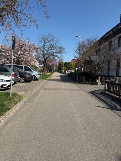 The image displays a residential street in Bühl, Germany, observed on a clear, bright day under a cloudless blue sky. The central element is a gray asphalt road, leading into the distance. To the left of the road, a raised curb borders a strip of green grass, sparsely covered with pink petals. A silver metallic pole, likely a street sign support, is positioned on the far left. Adjacent to the grass, a paved parking area, composed of light-colored pavers, holds at least three parked vehicles: a white car partially visible in the foreground, followed by a dark gray sedan, and a silver minivan. Behind these vehicles, several trees are visible, with prominent cherry blossom trees displaying full pink blooms on the left. Other trees exhibit bare branches or early foliage.
On the right side of the road, a dark wooden fence or railing casts distinct parallel shadows onto the asphalt. Behind this fence, a multi-story residential building with a light-colored facade and a dark sloped roof is visible, partially fronted by bare deciduous trees. A dark gray street light pole with a rectangular fixture stands between the road and the building. The street recedes into the background, flanked by additional residential structures and varying tree growth. No individuals or active vehicles are present in the depicted scene.