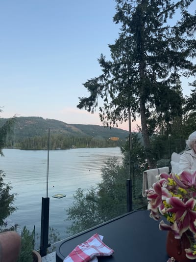 The image depicts an outdoor scene at twilight overlooking Shawnigan Lake in Area B, Canada. The perspective is from an elevated deck or patio, featuring a glass railing with dark vertical supports in the foreground. Shawnigan Lake occupies the mid-ground, exhibiting calm, rippled water. A square floating dock is visible towards the left side of the lake, accompanied by two red buoys further out. A small boat is discernible in the distant center of the lake. Beyond the water, densely forested hills rise, under a sky gradient from light blue overhead to faint pink at the horizon.

In the immediate foreground, a dark, circular outdoor table is present. On the table, a red and white checkered napkin is crumpled towards the lower left. To the right of the napkin, a brown vase holds a floral arrangement consisting primarily of reddish-purple lilies and smaller yellow flowers. A potted plant with green foliage, in a terracotta-colored pot, is positioned on the table's far left edge. Faint, illuminated string lights are reflected in the glass railing.

Two individuals are partially visible. On the far left, the lower leg of a person is visible. On the far right, the head and upper shoulder of an elderly individual with white hair, wearing a light-colored garment, are visible. A beige or tan colored fabric is draped over an unseen object or chair near this person. The scene suggests a relaxed, observational setting at dusk.