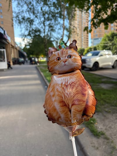 This media file depicts an orange tabby cat-shaped balloon on a white stick. The balloon is positioned at an angle, with its head facing left and its body extending to the right. It has large, expressive eyes and a cute facial expression. The balloon also appears to be wearing a colorful, polka-dotted party hat.

The setting is outdoors, possibly on a street or sidewalk. In the background, there are buildings and trees, suggesting an urban or suburban environment. The sunlight indicates it is daytime, and the shadows suggest it might be a sunny day. The overall mood seems cheerful and festive, likely due to the presence of the party balloon. There are no visible people in the immediate foreground, but there might be some blurred figures in the background. The location is identified as Mytishchi, Russia.