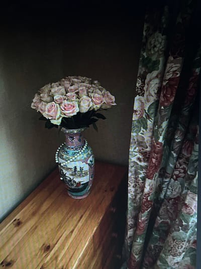 A vase filled with pale pink roses sits on a wooden surface. The vase is adorned with a pearl necklace and intricate painted designs. To the right of the vase, a floral curtain is visible, featuring large pink and green blossoms. The background is dark and textured, suggesting an indoor setting, possibly a room in a building located in Chotěšov, Czechia.