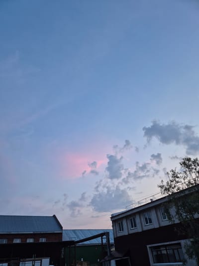 This image depicts the sky and buildings from a low-angle perspective, likely taken from a courtyard or between buildings. The scene is oriented such that the sky occupies the majority of the frame, with buildings visible along the right edge.
The sky is a soft gradient of blue, transitioning to lighter shades towards the horizon. Scattered clouds are present, some appearing as wispy streaks and others as more defined masses. There's a subtle hint of pink or purple in the clouds, suggesting either a sunrise or sunset. The presence of tree branches overhanging from the top right corner indicates a natural element in the urban environment.
The buildings appear to be multi-story structures, likely residential or commercial. The architectural style suggests a somewhat functional design, with visible windows and varied materials such as brick, metal siding, and what looks like concrete or rendered facades. The building in the foreground has a prominent ribbed metal siding.
The time of day is either early morning or late evening, as indicated by the soft lighting and the colors in the sky. The weather appears calm, with the clouds not suggesting any severe conditions. There are no people visible in the image. No text is discernible. The overall mood is serene and perhaps a little melancholic due to the muted colors and the vastness of the sky. The location context of Nizhnevartovsk, Russia, places this scene within a northern, urban environment.
