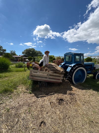 A vibrant, landscape-oriented image depicts a rural setting in Gay-Kodzor, Russia, under a clear blue sky dotted with white, fluffy clouds. In the center of the frame, a woman is captured in a casual pose. She wears a wide-brimmed straw hat, a light-colored long-sleeved shirt or cardigan, black shorts, and white sneakers. She is leaning against a rustic wooden wagon filled with hay, with one leg bent and resting on the wagon's side.
Immediately to the left of the wagon stands a vintage-style blue tractor, its large wheels featuring distinct white rims. The tractor is partially obscured by hay piled on the ground. The immediate foreground and midground consist of a mix of dry, golden-brown straw and patches of lush green grass.
In the background, a verdant landscape unfolds with numerous trees and shrubs, suggesting a well-maintained property or garden. Hints of distant buildings are visible through the foliage. The scene is brightly lit by natural daylight, indicating a sunny day, likely midday or afternoon, given the crisp shadows cast. No visible text is present in the image.