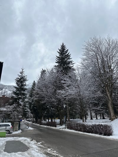 The image depicts a serene winter landscape, likely taken on an overcast day. The upper portion of the scene is dominated by a grey, cloudy sky, suggesting a cold and diffused light.
A prominent feature of the image is the array of trees. Many deciduous trees, particularly in the foreground and mid-ground, are completely bare of leaves but are heavily coated in a glistening layer of ice. This ice encasement makes their intricate network of branches appear white and sparkling against the muted sky and darker evergreens. Interspersed among these are dark green evergreen trees, such as firs or spruces, which also show some accumulation of snow or ice on their needles. The trees extend vertically across much of the left and central parts of the frame, forming a dense, frosty canopy.
In the lower right section of the image, a paved road or path is visible. It is wet and partially covered with slushy snow and ice, with more substantial banks of snow piled along its edges, particularly on the far right. Following the curve of the road into the mid-ground, several elements appear: a white vehicle, possibly a van or car, is parked on the side, and next to it, a green bin or container is visible. A small, blue circular road sign with a white border can also be seen in this area. Further along the road, a fence or railing runs parallel to the path, partially obscured by the trees.
In the deeper background, glimpsed through gaps in the tree line, are hints of snow-covered hills or mountains, suggesting the location is in a hilly or mountainous region. The overall atmosphere is one of quiet winter, with the ice-covered trees being the most striking detail, indicating recent freezing precipitation or heavy frost. No discernible text is visible in the image.