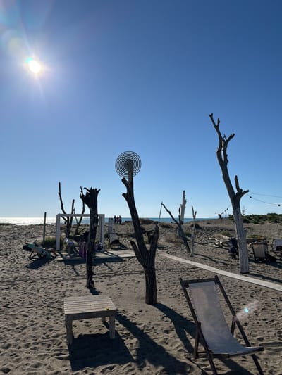 The image captures a beach scene in Tarquinia, Italy. The sky is a clear, bright blue with the sun shining prominently. Along the shoreline, there are artistic installations made from driftwood and metal, including a metal spiral. Seating areas are created with wooden planks and beach chairs. Further along the beach, there's vegetation. People are seen in the background. The ground is sand, textured with footprints.