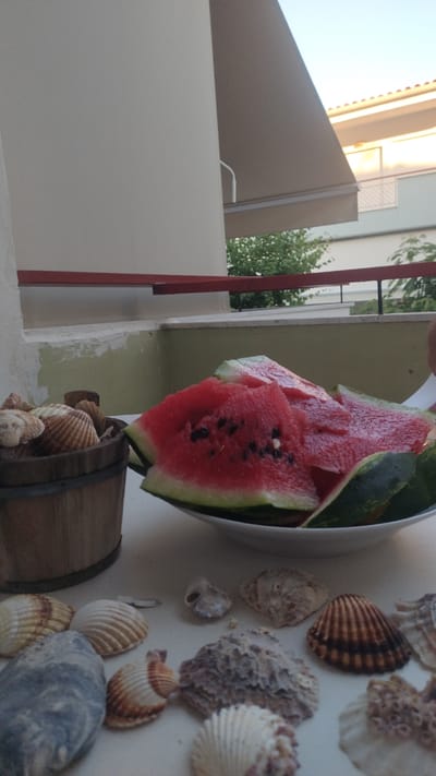 The image shows a close-up, vertically oriented view of a white bowl filled with sliced watermelon, set on a surface decorated with various seashells and a small wooden bucket also containing seashells. The watermelon slices are bright red with visible black seeds. Surrounding the bowl are several seashells of different shapes and sizes, including some with ribbed patterns and others that are smoother. A dark wooden bucket with metal bands is positioned behind the bowl and to the left, overflowing with more seashells.
The setting appears to be outdoors, possibly a patio or balcony, given the presence of architectural elements like a white wall, a red railing, and what looks like an awning or roof structure in the background. Sunlight suggests it is daytime, and the outdoor setting and refreshing watermelon hint at warm weather, likely during warmer months. The scene evokes a relaxed, summery atmosphere, perhaps a snack enjoyed during a vacation or a day at the beach. There is no visible text in the image.