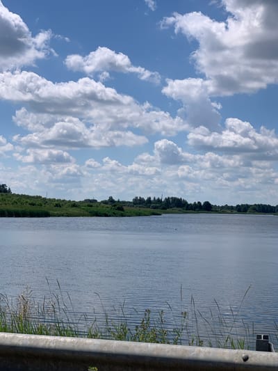 The image depicts a serene lake scene in Слабада-Кучынскі сельскі Савет, Belarus. The sky is a vibrant blue, dotted with fluffy white cumulus clouds that cast subtle shadows. A line of lush green trees and vegetation forms the distant shoreline. The water is calm, with gentle ripples reflecting the sky and surrounding landscape. In the foreground, tall blades of grass and some wildflowers are visible, with a metallic guardrail running along the bottom of the frame. The overall impression is one of a peaceful, natural environment.