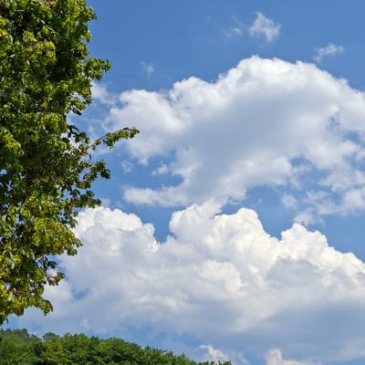 The image shows a bright blue sky with fluffy white clouds on a sunny day. In the foreground, the leaves and branches of a green tree extend from the left side of the frame. A dense line of green trees forms the bottom edge of the image. The scene appears to be an outdoor natural setting, possibly in the city of Forbach, Germany, given the context provided. There are no people or active elements visible in the image. The overall impression is one of a clear, pleasant day.