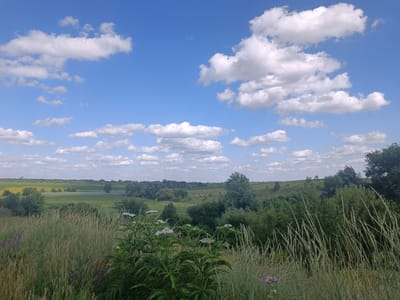 The image captures a scenic rural landscape under a bright blue sky dotted with fluffy white clouds. In the foreground, tall grasses and wild flowers, including some with white blossoms and purple ones, create a natural border. A small bush with clusters of small white flowers is prominent. Beyond this, rolling hills covered with various shades of green trees and vegetation stretch into the distance. A small body of water, possibly a pond or a slow-moving river, is visible in the middle ground. The overall impression is one of a tranquil, natural setting in the Ukrainian countryside near the village of Vityvtivtsi.