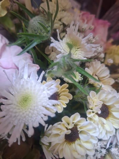 This media file is a close-up, overhead shot of a bouquet of flowers. The subjects are various types of flowers, predominantly white and pale yellow, with some hints of pink in the background. There are several daisy-like flowers with brown centers, as well as spiky white chrysanthemums. Green foliage and stems are also visible, and one bud appears to be covered in fine, fuzzy hairs. The setting appears to be indoors, with a dark, out-of-focus background that suggests the flowers are arranged in a vase or held in a bunch. There is no visible text, and the time of day, weather, and specific location cues are not discernible from the image. The overall impression is one of natural beauty and delicate textures.