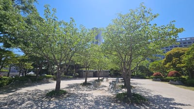 This is an outdoor scene in what appears to be a park or landscaped area within the city of Ulsan, South Korea. The location seems to be well-maintained and designed for leisure activities.
The focal point of the image is a row of deciduous trees that offer dappled shade. The trees have medium-green leaves and cast intricate shadow patterns on the light-colored gravel or sand-covered ground beneath them. The ground appears to be relatively flat and evenly surfaced.
Scattered throughout the park are arrangements of concrete blocks that may serve as seating or decorative elements. In the background, a building stands out between the trees. The building has a modern design with a multi-story structure and is likely a commercial or residential building that suggests the park is situated within an urban environment.
The sky is clear and bright blue, indicating fair weather conditions. Other lush green vegetation is visible, including various trees and shrubs along the edges of the open space. The scene is still and composed, with no people visible in the frame. The overall impression is one of a calm, inviting public space within a city setting.