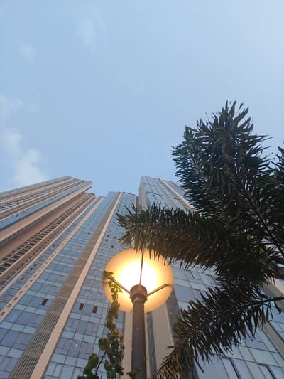 A low-angle shot captures a modern skyscraper in Mumbai, India, from its base. The building features a facade of blue glass windows and light-colored vertical accents, with many windows open. In the foreground, a streetlamp with a bright yellow-orange globe is visible, illuminated from within. Green vines creep up the pole of the streetlamp. A lush green palm tree with spiky fronds partially obscures the view of the building and the sky. The sky above is a pale, hazy blue with a few wispy white clouds. The overall scene suggests an urban environment, possibly in the evening or early morning, given the streetlamp's illumination and the soft light.