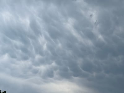 The media file displays an expanse of an overcast sky dominated by distinctive mammatus clouds. These clouds are characterized by their cellular, pouch-like, or "breast-like" formations hanging from the underside of the main cloud layer. The sky is largely grey, with variations in shade indicating depth and texture within the cloud formations. Brighter grey and white tones appear where light interacts with the cloud surfaces, particularly towards the bottom and upper left portions, while darker greys suggest thicker or shadowed areas.
No people or prominent objects are visible within the frame. A very subtle hint of dark green foliage, possibly from a tree, can be seen at the bottom left edge of the original image, indicating an outdoor setting. The overall impression is of a cloudy daytime sky. The presence of mammatus clouds often suggests previous or impending severe weather, such as thunderstorms. There is no specific activity or event taking place, beyond the natural atmospheric phenomenon. No text is visible in the image. The scene is observed in Pchelnik, Bulgaria.