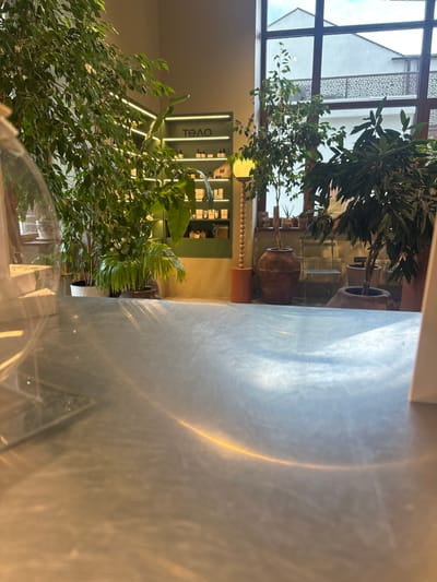 The image shows the interior of a retail establishment, possibly a beauty or wellness shop, located in Estosadok, Russia. The space is decorated with numerous live plants, including a large Ficus tree on the left, a smaller leafy tree in a large terracotta pot in the center, and another tree in a similar pot on the right. Behind the plants, a green-lit shelf unit displays rows of small bottles and boxes, suggesting products are for sale. The word "ТЕЛО" (Telo, meaning "body" in Russian) is visible on the shelf unit.

The foreground of the image is dominated by a reflective, metallic surface, likely a counter or table, which is catching the light from the window and overhead lighting. A portion of a transparent display case is visible on the far left.

In the background, a large window offers a view of an outdoor area with a building and decorative railing. There is a small green metal chair positioned near the window. The overall atmosphere is bright and airy, with natural light filtering through the window and contributing to the reflective quality of the foreground surface. The lighting and decor suggest a modern, naturalistic aesthetic for the retail space.