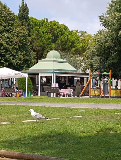 The image depicts a park scene in Parede, Portugal, on a sunny day. In the foreground, a seagull stands on a green grassy lawn. In the middle ground, there is a kiosk with a green roof, housing a small cafe or refreshment stand. Several people are visible near the kiosk. Some are seated at tables, while others appear to be ordering or conversing. There is a playground with swings and a slide to the right of the kiosk. The background features lush green trees and a partially cloudy sky. The overall atmosphere suggests a relaxed, recreational environment.