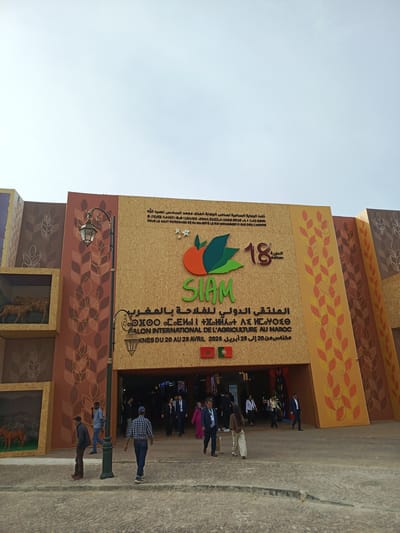 The image displays the entrance to an event pavilion, likely an exhibition or trade show, captured during daylight under a clear sky. Numerous people, dressed in a mix of casual and business attire, are seen walking in and out of the building.
The building's facade is decorated with a wood-like texture, featuring stylized wheat stalks in various shades of brown, orange, and yellow. On the left side, integrated display boxes showcase small animal figurines, including cheetahs and deer, adding to the thematic decor. An ornate, dark green street lamp stands prominently in the foreground on the left.
Central to the facade is a large logo for "SIAM," depicted with a stylized orange or fruit motif, accompanied by "18 الدورة edition" (18th edition). Prominent banners above and below the logo provide details about the event in both Arabic and French. The text reads: "تحت الرعاية السامية لصاحب الجلالة الملك محمد السادس نصره الله / SOUS LE HAUT PATRONAGE DE SA MAJESTÉ LE ROI MOHAMMED VI QUE DIEU L'ASSISTE" (Under the high patronage of His Majesty King Mohammed VI, may God assist him). The event is identified as "الملتقى الدولي للفلاحة بالمغرب / SALON INTERNATIONAL DE L'AGRICULTURE AU MAROC" (International Agricultural Show in Morocco). The dates "مكناس من 20 إلى 28 أبريل 2026 / KNES DU 20 AU 28 AVRIL 2026" (Meknes from April 20 to 28, 2026) are clearly visible, indicating the event's schedule. Below the dates, the flags of Morocco and Portugal are displayed.
The ground in front of the entrance is paved with light-colored cobblestones. The overall scene suggests a vibrant gathering at a significant agricultural event in Al Machouar – Stinia, Morocco.