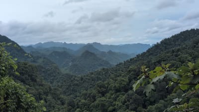 The image depicts a dense, verdant mountainous landscape in Thượng Trạch Commune, Vietnam. The foreground features a cluster of large, light green leaves on branches that extend into the frame from the right and left sides. These leaves are organic in shape, some with visible veins and minor imperfections like holes. Beyond the foliage, rolling hills covered in a thick, dark green forest stretch into the distance. The mountains are layered, with successive ranges appearing progressively fainter and more bluish due to atmospheric perspective, indicating a vast expanse. The sky above is overcast with a muted palette of grey and white clouds. The overall scene conveys a sense of natural wilderness and natural beauty. There are no people or man-made structures visible in the image.