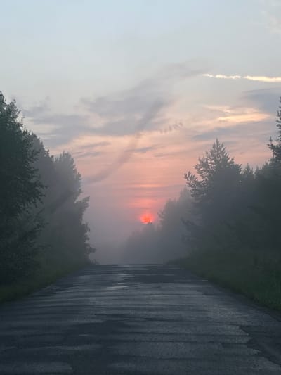 A desolate paved road cuts through a foggy forest landscape in Galevo, Russia, as the sun, a vibrant orange orb, peeks through the thick mist. The road, wet and reflective, shows patches of wear and tear, suggesting age and disuse. Towering trees line both sides of the road, their silhouettes softened and blurred by the pervasive fog. The sky above is a pale, ethereal gradient of light blue and soft pink, streaked with wispy clouds, hinting at the early morning or late evening hours. The overall atmosphere is one of quiet solitude and a serene, almost surreal, natural beauty.