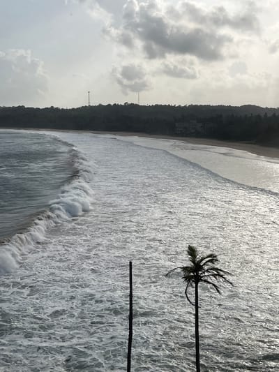 The image captures a panoramic view of the Talalla beach in Sri Lanka under a cloudy sky. The ocean is rough with significant wave action, creating white foam as waves break near the shore. The beach is sandy and stretches along the coastline, bordered by a dense line of trees. In the distance, atop the tree line, two telecommunication towers are visible, suggesting infrastructure in the area. A building, possibly a hotel or residential structure, is also discernible amidst the foliage. In the foreground, a single palm tree stands tall, silhouetted against the choppy sea, and a vertical pole is present to its left. The overall atmosphere is dramatic, with the interplay of light and shadow on the water and clouds contributing to a moody ambiance. There are no people clearly visible in the frame.