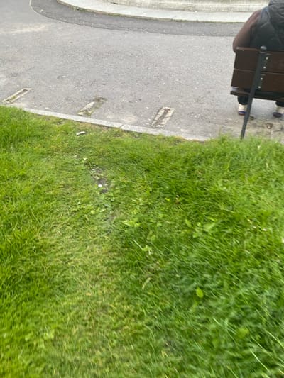 The image shows a patch of green grass, a concrete sidewalk with a small gray curb, and a dark gray asphalt road. There are three rectangular indentations in the sidewalk, appearing to be drain grates.  A person sits on a wooden bench that is partially visible at the right edge of the frame. They are wearing a brown and black jacket.  The location is in Warszawa, Poland, near the intersection of Ulica Polna and Ulica Grzybowska, which is a residential and commercial area. The person on the bench is sitting facing the camera, but their face is not visible. The grass is lush and green, suggesting a park or other outdoor space. The scene is quiet and peaceful.