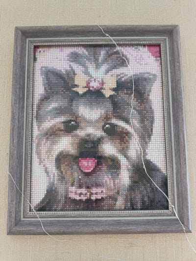 A framed diamond painting of a Yorkshire Terrier is displayed on a textured beige wall. The painting depicts the dog's face with its mouth open, showing its tongue and teeth, and a bow on its head. The frame is grey with a wood-grain texture. A thin, white wire, possibly part of a light string, is draped across the painting and frame. The image does not contain information that allows for determining its location in Bila Tserkva, Ukraine, or any other specific city.