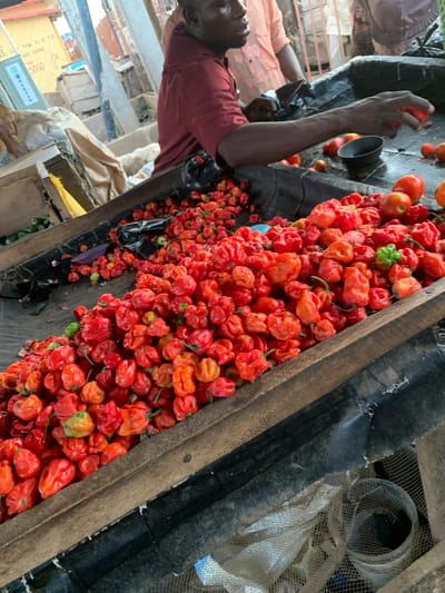 The image depicts a man sorting through a pile of red scotch bonnet peppers at a market in Ilorin, Nigeria. He is positioned to the left of the frame, wearing a red shirt, and his hand is holding a tomato. The peppers fill the central area of the frame, contained within a wooden structure. To the right of the peppers, there is debris and a net visible. The scene appears to be a bustling marketplace setting.