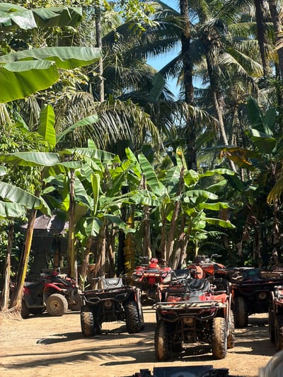The image presents a clearing in a dense tropical forest, identified as an ATV parking area in Payangan, Indonesia. The scene is dominated by luxuriant green foliage, including numerous large banana plants, some displaying clusters of green, unripe bananas, and multiple tall palm trees, several bearing visible coconuts, under a clear blue sky intermittently visible through the canopy. The ground consists of light brown, uneven dirt, showing evidence of tire tracks. Bright sunlight casts sharp, well-defined shadows across the area. Approximately seven All-Terrain Vehicles (ATVs), predominantly colored red and orange, are parked in rows, oriented towards the viewer. These vehicles are visibly soiled with mud, indicating recent off-road activity; one ATV features the numeral "300" on its side, and another displays a partially legible "KYMCO" brand logo. A small, rustic structure with a dark-colored roof, possibly a shed or shelter, is partially visible in the left mid-ground, partially obscured by an ATV and foliage. No human subjects are present, and no actions or interactions are depicted.