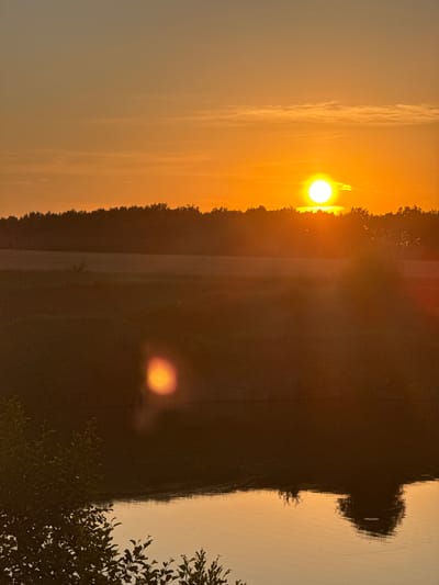 A vertical, low-angle, full shot captures a sunset over a body of water and a treeline in Horodyshche, Ukraine. The sun, a bright white orb with an orange halo, is positioned in the upper right quadrant of the frame, just above a dark, silhouetted treeline. The sky transitions from a pale yellow near the horizon to a soft orange, with thin, wispy clouds stretching horizontally across the middle of the frame.
Below the treeline, a dark landscape is visible, likely fields or hills, also in silhouette. A prominent lens flare, a bright, blurry orange circle, appears in the middle-left of the frame, likely from the setting sun reflecting off the water or the camera lens.
The lower portion of the image is dominated by a calm body of water, reflecting the warm hues of the sunset. The surface of the water is disturbed by subtle ripples, creating a textured pattern. In the foreground, on the left side, the dark, leafy branches of a tree intrude into the frame, adding depth and a sense of being at ground level. The reflection of the treeline and possibly a distant tree is visible in the water, distorted by the ripples. No people or animals are visible in the scene. The overall atmosphere is serene and tranquil.