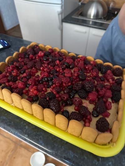 An overhead shot captures a rectangular, freshly made cake, presented on a bright yellow plastic serving tray. The cake's base is a pale yellow filling, topped generously with a vibrant mix of red and dark berries, including raspberries, blackberries, and red currants. The perimeter of the cake is adorned with a decorative border of light brown ladyfinger biscuits. The cake and tray rest on a dark, speckled countertop. In the background, a stainless steel appliance, possibly a kettle or pot, is visible on a stovetop. To the left of the cake, a smartphone is placed on the countertop, displaying a bright screen. The overall environment appears to be a domestic kitchen setting. The location is identified as Zankovići, Montenegro.