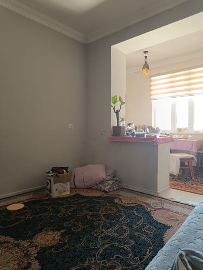 The image depicts an indoor scene, likely a living room or dining area, in a residential setting. The overall impression is one of a lived-in space with a mix of clutter and organized elements.
The foreground is dominated by a large, ornate rug with a dark green base color and intricate patterns in beige and red. To the left, on the floor, is a yellow circular object, possibly a plate or placemat. Next to it, against a light gray wall, is a cardboard box filled with various items, including what appears to be toys and other assorted objects. To the right of the box, leaning against the wall, is a stack of folded fabric, likely pillows or blankets, in shades of pink and patterned beige.
The wall on the left is plain light gray and features a white electrical outlet. The wall transitions into a partition that separates this area from another space.
Through the partition, a dining area is visible. A table is set with a red and white checkered tablecloth. On the table, there are bowls of fruit, possibly apples and grapes, and other items that suggest a meal or a preparation for one. A small wooden stool with a white fabric cover is placed near the table.
Above the dining area, a light fixture with a decorative glass shade hangs from the ceiling. The window in the dining area is covered by horizontal blinds that are partially open, allowing natural light to enter.
The environment suggests a modest but functional living space. The presence of personal belongings and the general state of the room indicate it is actively used.
The image is likely taken in Balkanabat City, Turkmenistan, given the context provided. However, there are no specific visual cues within the image itself that definitively confirm this location. The scene is static, with no people or animals present, and no specific actions are being depicted. The overall lighting suggests it is daytime, with natural light contributing to the illumination of the space.