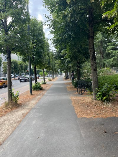 The image depicts a sidewalk lined with trees and adjacent to a street with vehicles in Rennes, France. On the left side, a yellow car and several other cars are visible on the asphalt road. A pedestrian sidewalk runs along the right side of the street, shaded by a row of mature trees. Bicycles are parked at bike racks along the sidewalk. The ground near the trees is covered with fallen leaves and pine needles. In the background, there are buildings and more trees, including some coniferous trees. The sky is overcast.