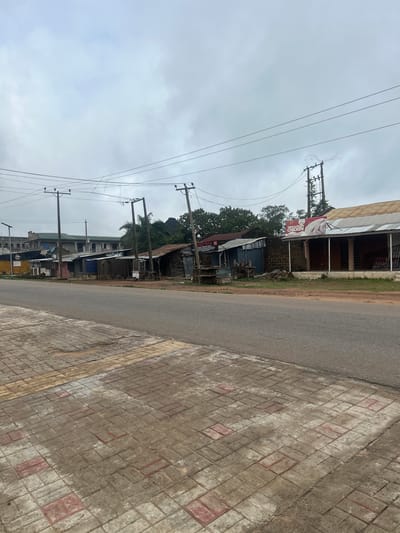 The image depicts a street scene in Ogbomosho, Nigeria, under an overcast sky. The foreground features a paved sidewalk with interlocking bricks, some of which appear worn and discolored. To the right of the sidewalk is a paved road. Along the roadside, a row of small shops and buildings lines the street. These structures are varied in construction, with some having corrugated metal roofs and others appearing to be made of brick and wood. One building displays a prominent sign for "CHICKEN FRESH & FROZEN." Utility poles with overhead wires are visible throughout the scene, suggesting the presence of electricity and telecommunications infrastructure. Trees and vegetation are present behind the shops. No people are clearly visible in the image, and the scene appears quiet and somewhat underdeveloped.